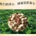【包邮】精选5斤小珍珠花生炒原味核桃蒜香熟花生小粒带壳1