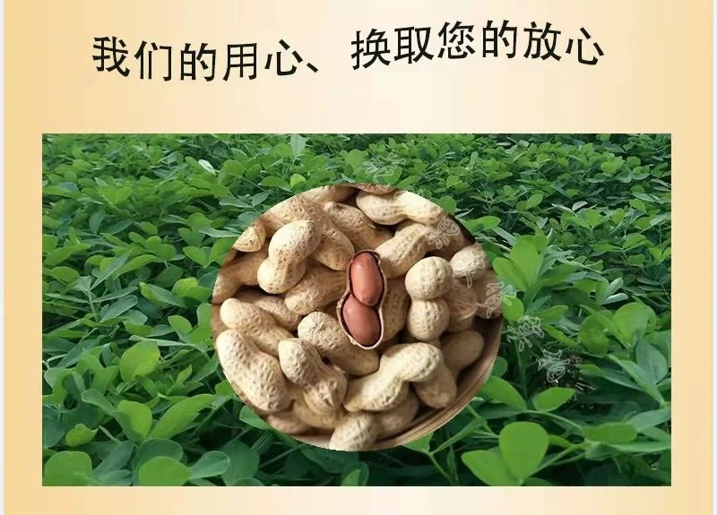 【包邮】精选5斤小珍珠花生炒原味核桃蒜香熟花生小粒带壳1