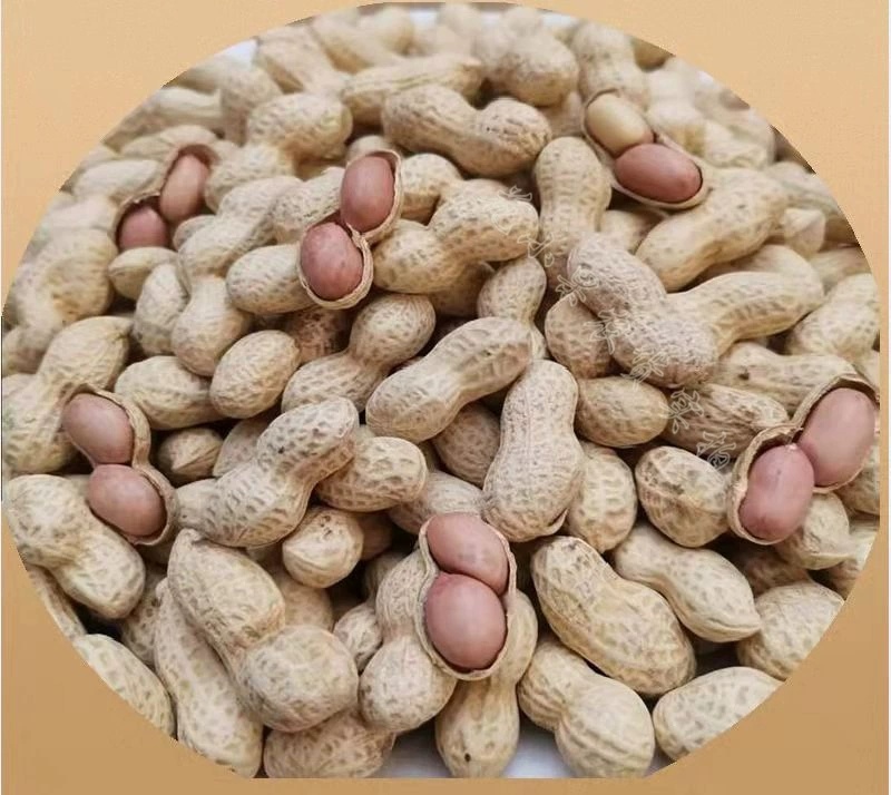 【包邮】精选5斤小珍珠花生炒原味核桃蒜香熟花生小粒带壳1