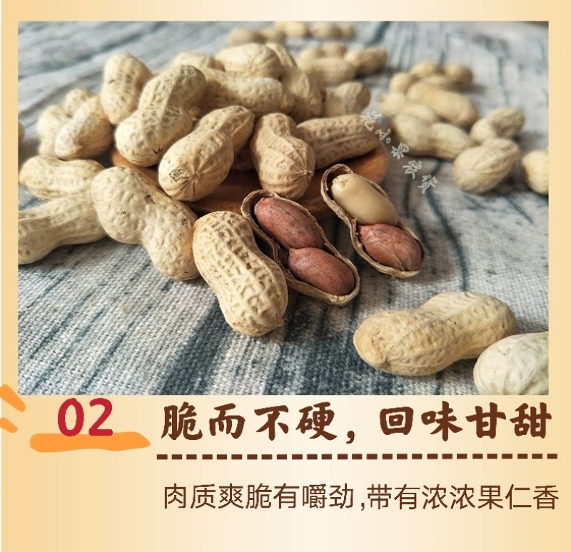 【包邮】精选5斤小珍珠花生炒原味核桃蒜香熟花生小粒带壳1