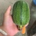 精品苹果丝瓜