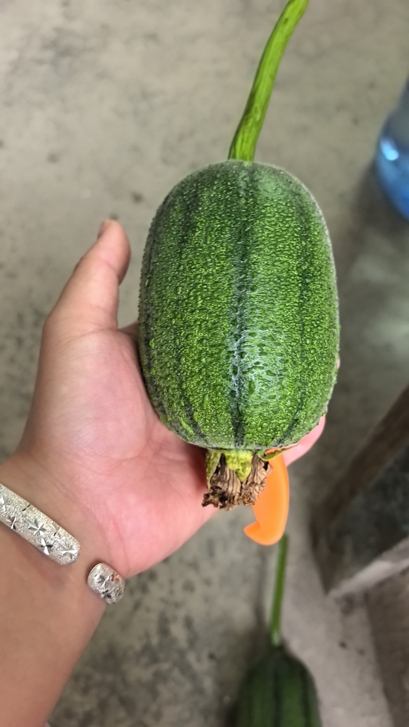 精品苹果丝瓜