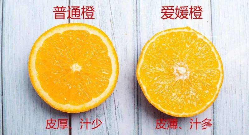爆汁爱媛38口感田，味道细腻画渣，