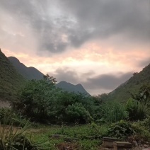 广西精品蜂蜜，基地直发，品质保证，量大从优，欢迎联系！