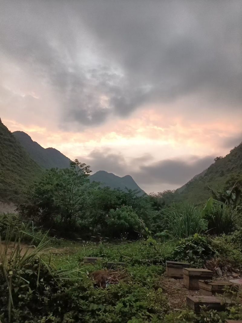 广西精品蜂蜜，基地直发，品质保证，量大从优，欢迎联系！