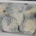 山东精品花菜大量上市产地直发价格优惠品质保证欢迎来电