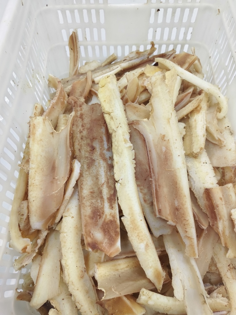 熟白板