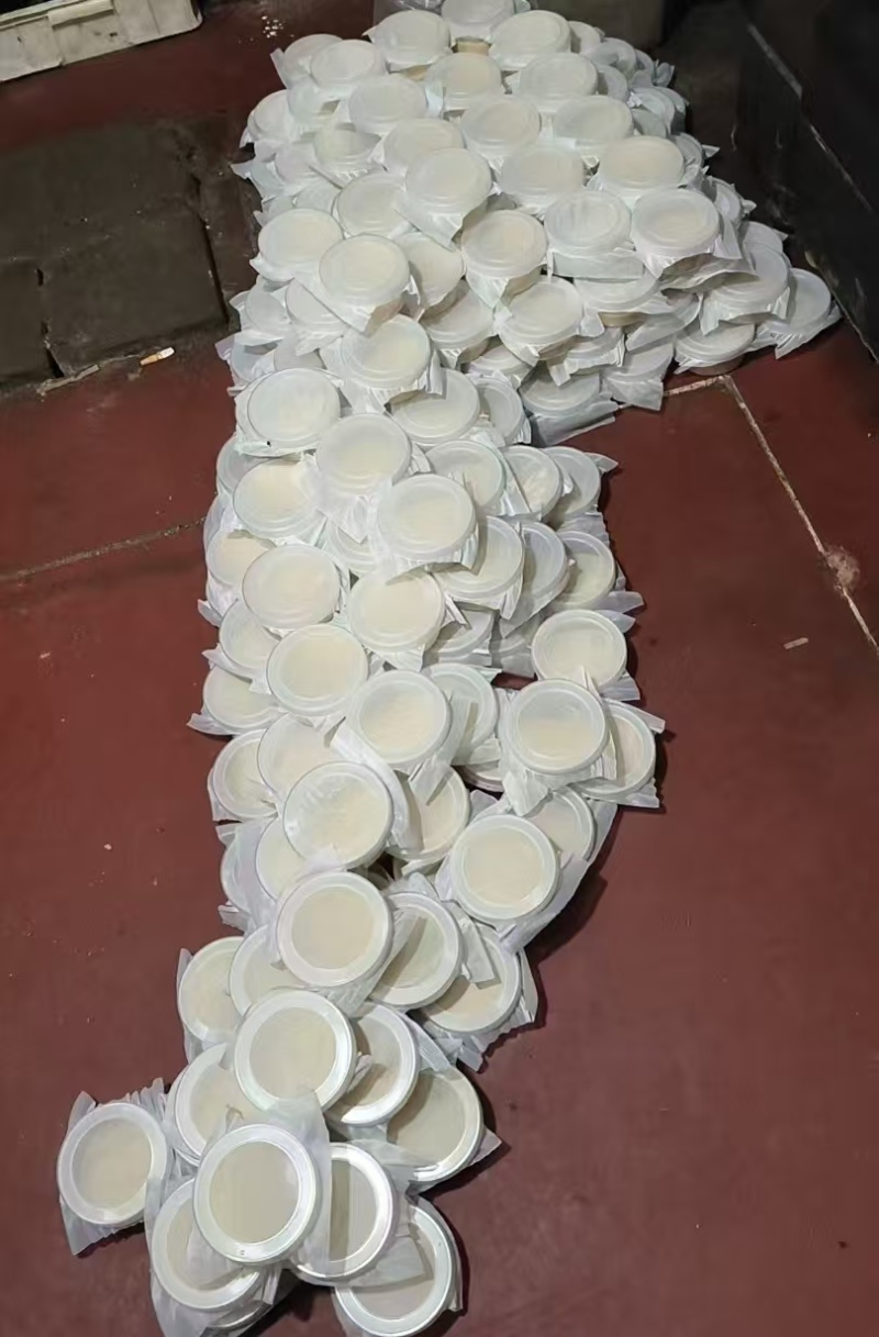 黑水虻虫卵