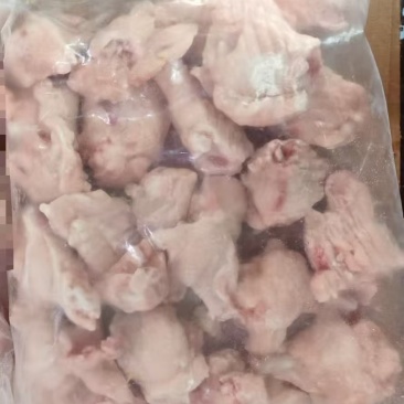 露骨翅根带69码