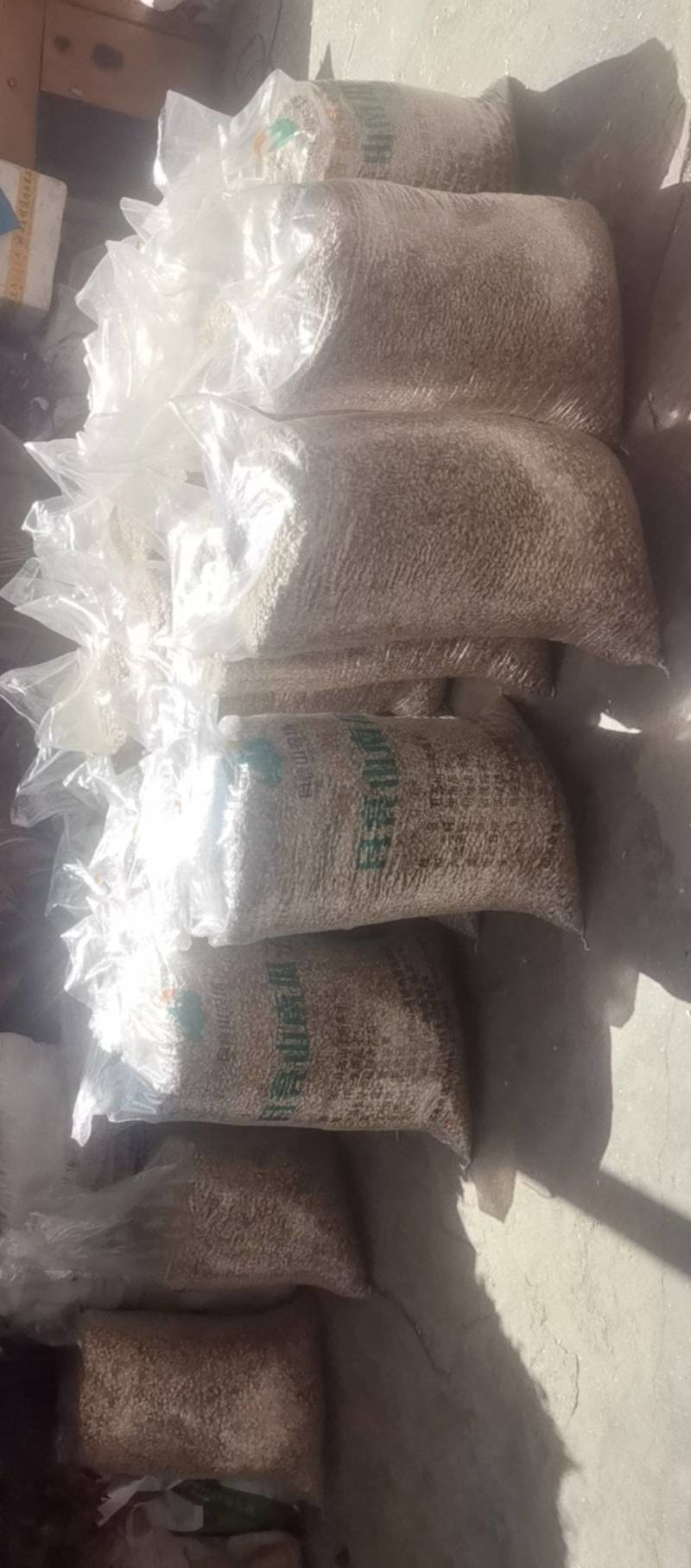 大片南瓜子，湖北土南瓜籽，云南大片南瓜子包邮批发