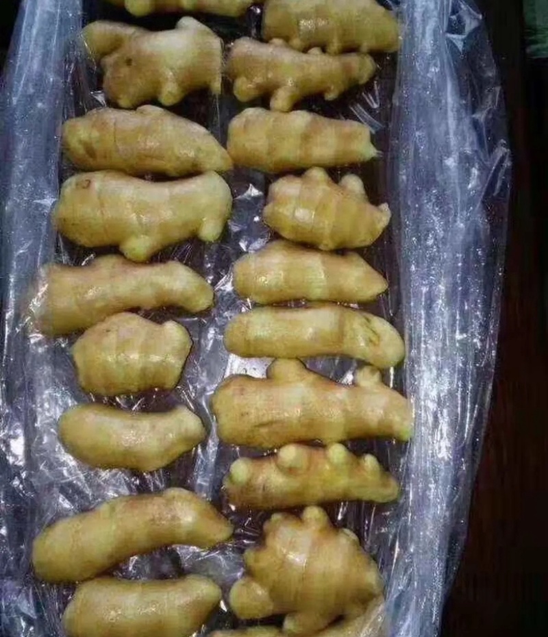 山东大黄姜，姜块，碎姜，水洗姜，风干姜老姜姜母都有