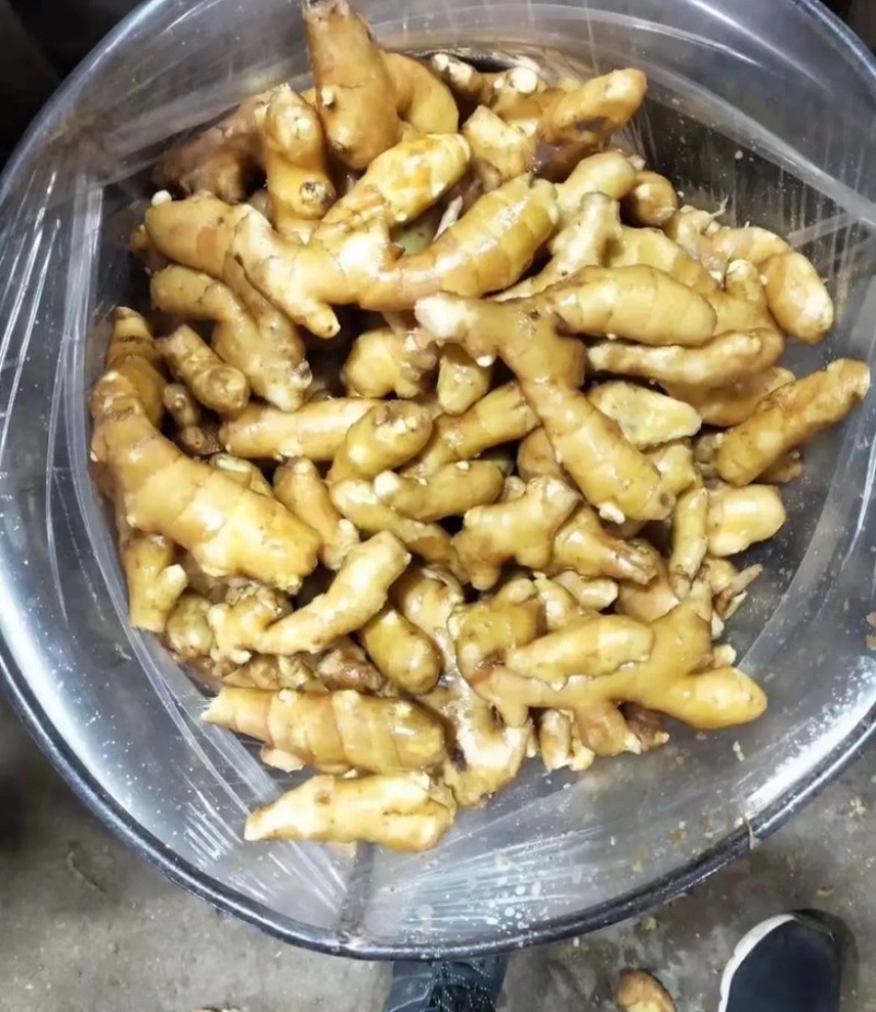 山东大黄姜，姜块，碎姜，水洗姜，风干姜老姜姜母都有