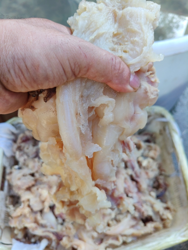 纯干牛付筋。纯干货，一手货源，质量保证，常年有活，物流快