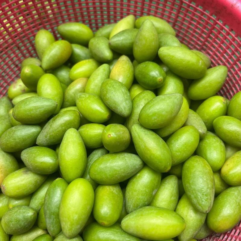 檀香橄榄嘎嘣脆严格筛选果品佳