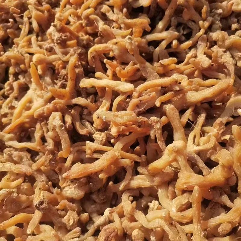 黄精野生非九蒸九晒黄精中药材鸡头黄精泡酒即食手工挑选大个
