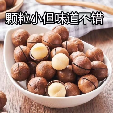 精选夏威夷果一手货源质量保证奶香浓郁对接电商一件代发
