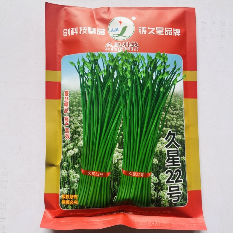 久星22号苔韭种子早出苔休眠期短品种种子