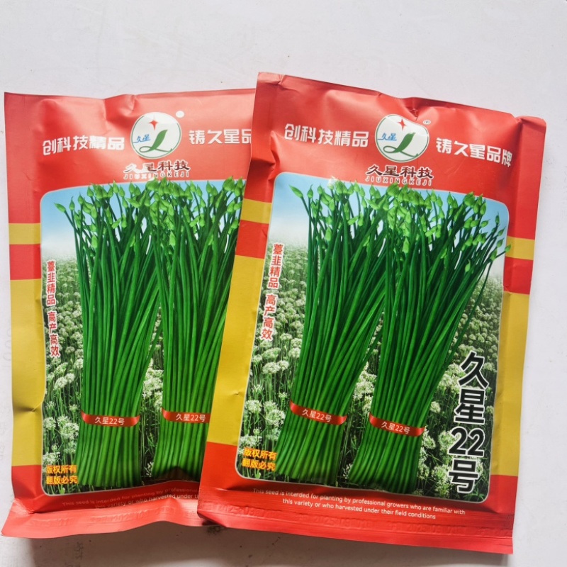 久星22号苔韭种子早出苔休眠期短品种种子