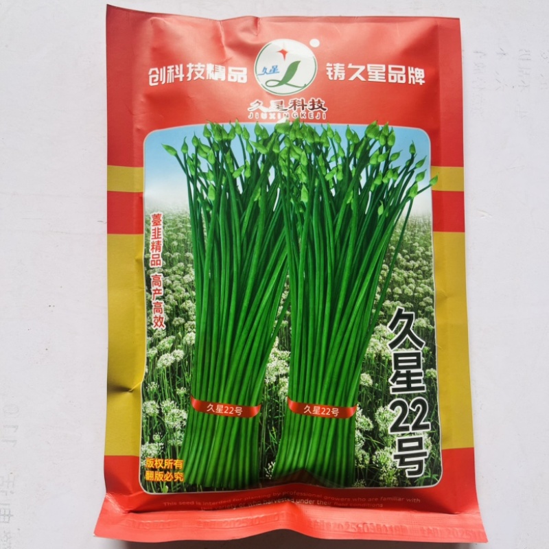 久星22号苔韭种子早出苔休眠期短品种种子