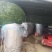 贵州高山葡萄酒