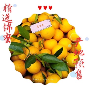 麻阳锦蜜冰糖橙，个头大，口感纯甜，一手货源，适合商超