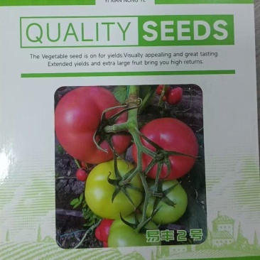 蕃茄种子易丰2号,无限生长,长势强,中旱熟品种,果色粉