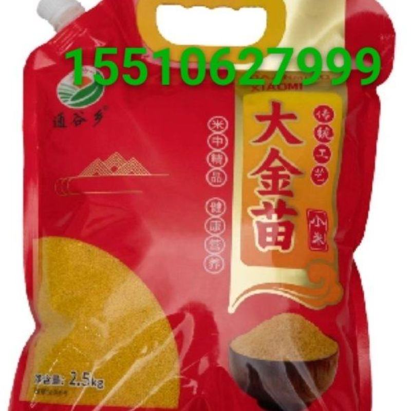 通榆碱地小米