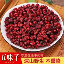 五味子东北五味子一斤也是批发价格药都亳州大货批发