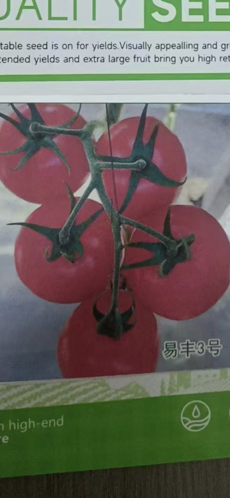 易丰3号早熟品种，单果重280克左右，硬度好，耐贮运，