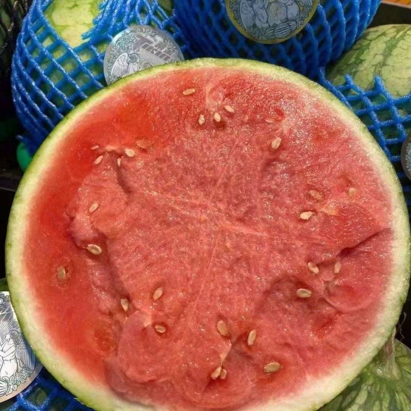 【麒麟西瓜】陕西麒麟西瓜皮薄肉多甜