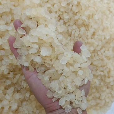 皂角米