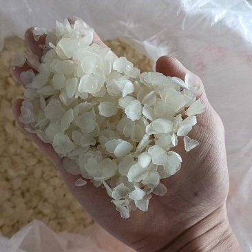 皂角米单荚