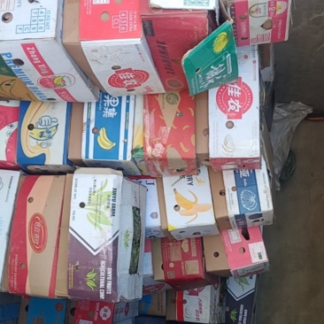 26精品沙土地地瓜