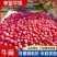 辽宁锦州精品寒富苹果产地直发一手货源诚信经营随时联系