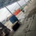 《精品板栗》丹东板栗/辽宁板栗/颗颗精选/欢迎来电采购