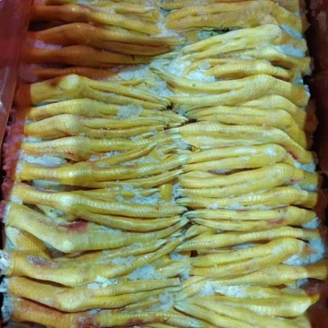 二级黄皮鸭掌