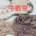 半熟牛散。一手货源，质量保证，快递物流发货，常年有货
