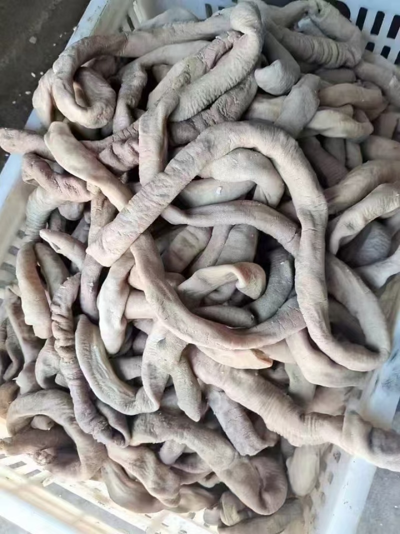 园小肠半熟一手货源，质量保证，快递物流发货。