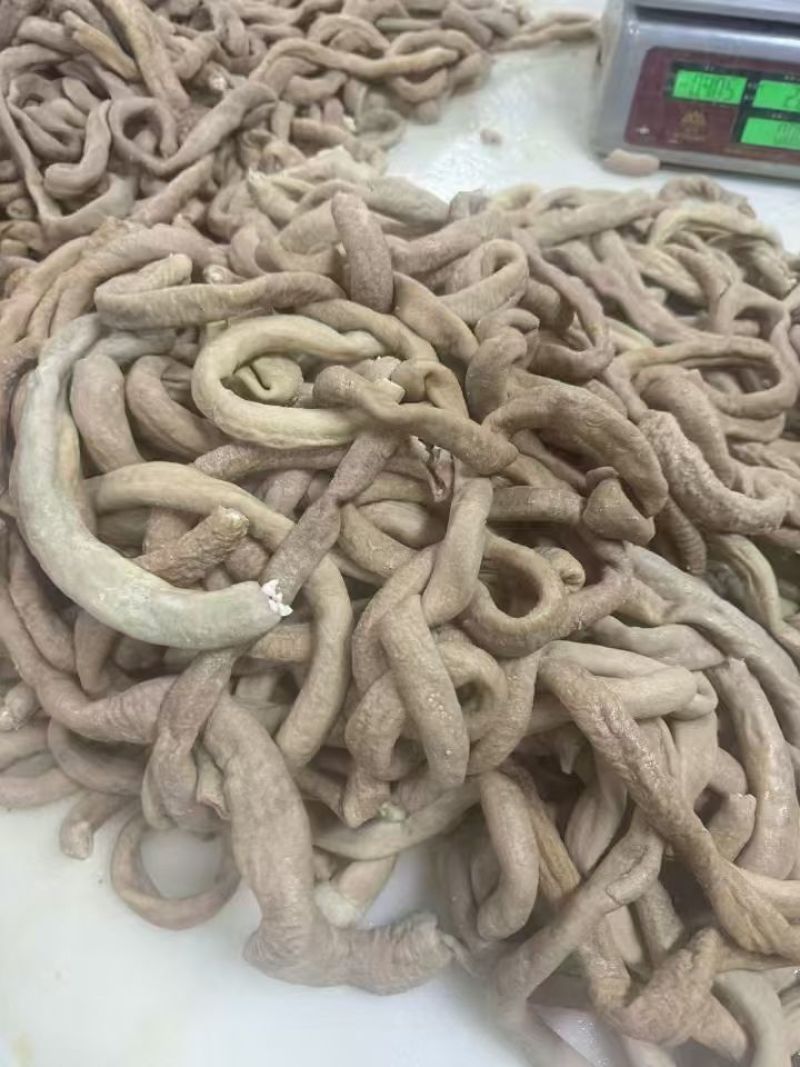 园小肠半熟一手货源，质量保证，快递物流发货。