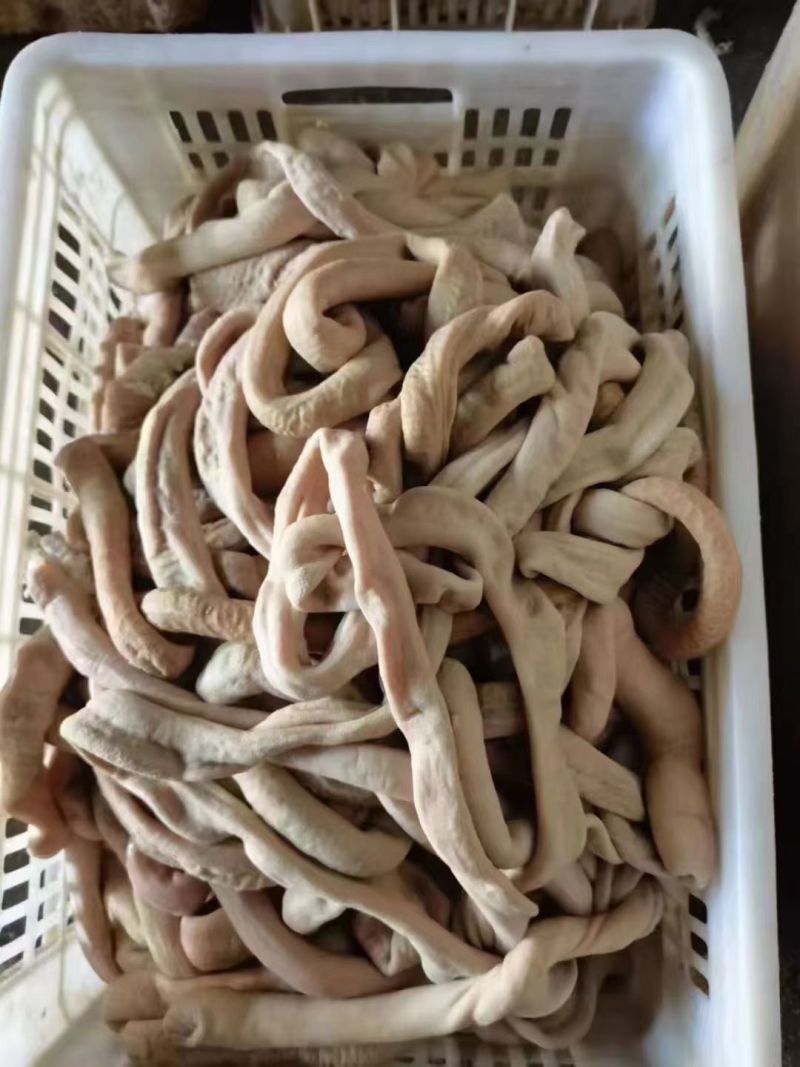 园小肠半熟一手货源，质量保证，快递物流发货。