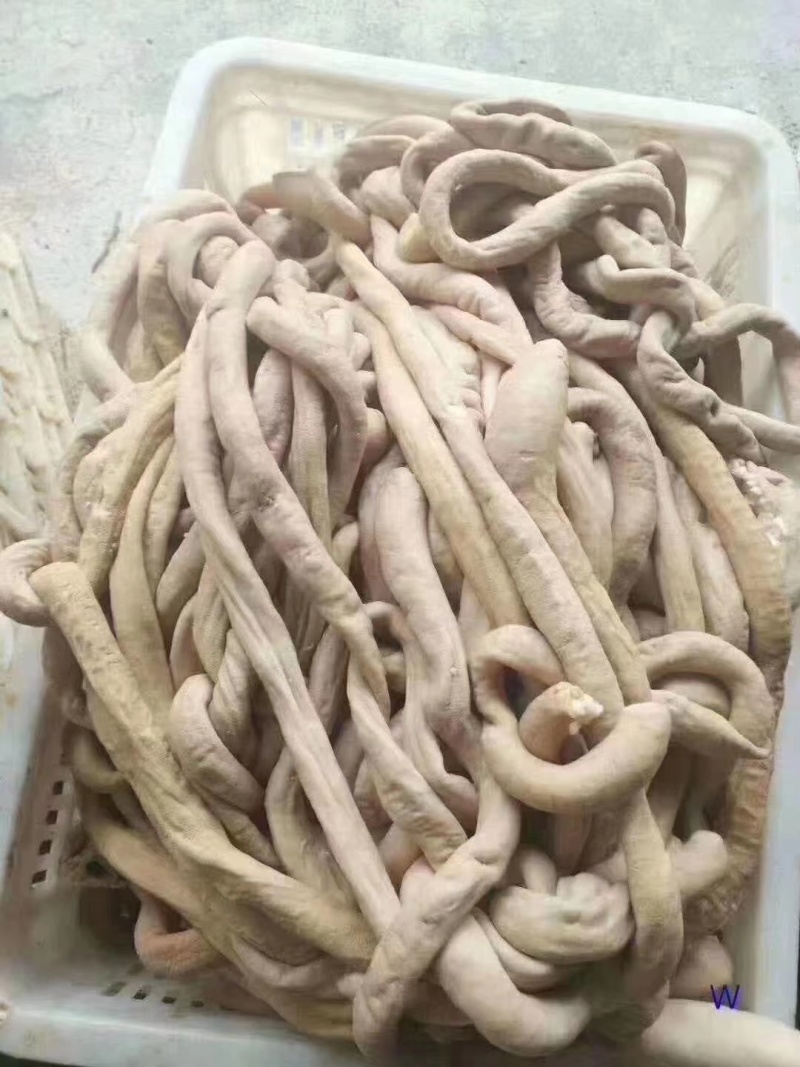 园小肠半熟一手货源，质量保证，快递物流发货。