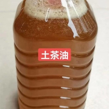 农村自家压榨山茶油