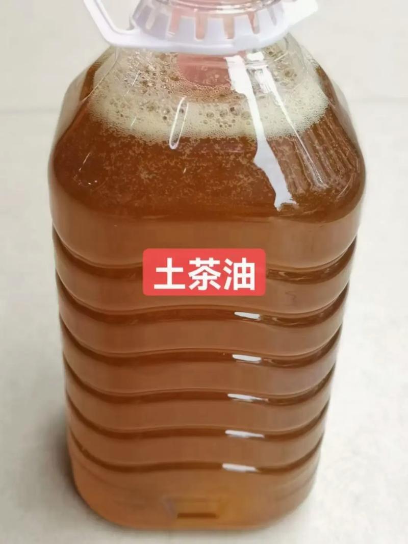 农村自家压榨山茶油