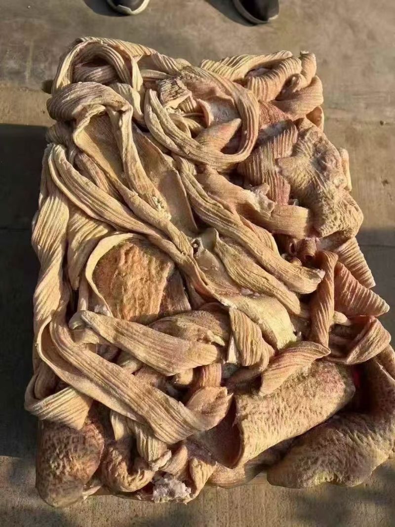 牛大肠半熟，精装修去。油。。。。。。。。。。。。。。。。