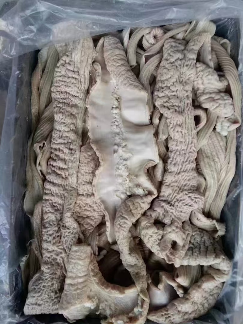 牛大肠半熟，精装修去。油。。。。。。。。。。。。。。。。