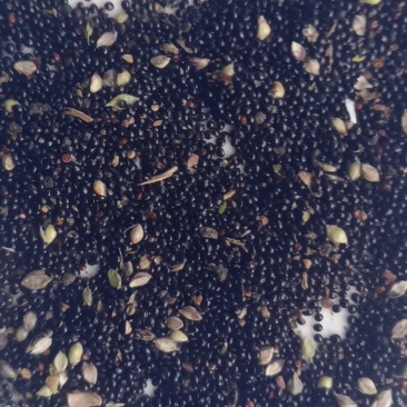 野生苋菜籽