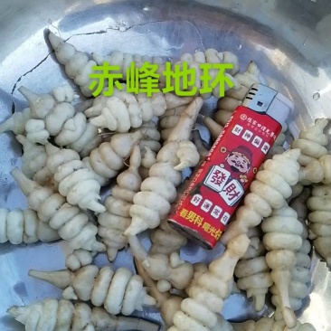 赤峰地环开始上市