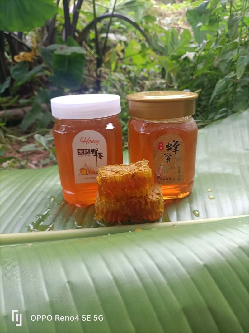 土蜂蜜
