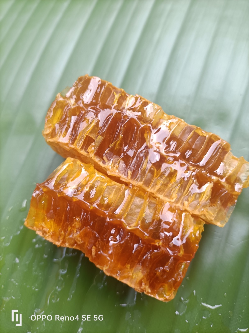 土蜂蜜
