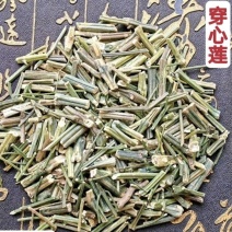 穿心莲批发零售穿心莲味苦量大从优